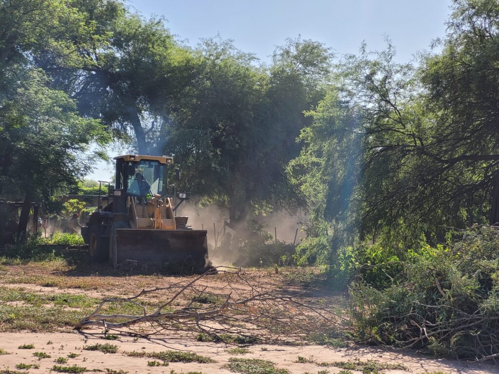 Operativo de limpieza general en los barrios de la ciudad