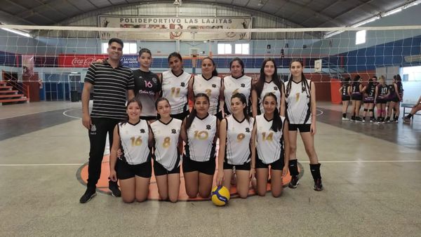 Liga Anteña de Voleibol