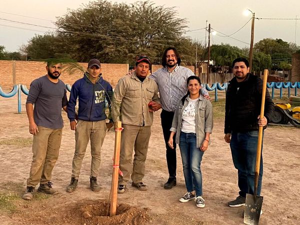 Plantaciones en Plaza Ecológica Dr. José Genaro Montes