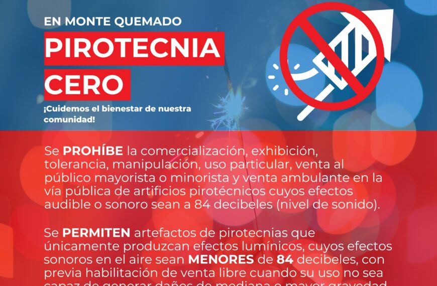 Ordenanza 14/2019 Pirotecnia cero