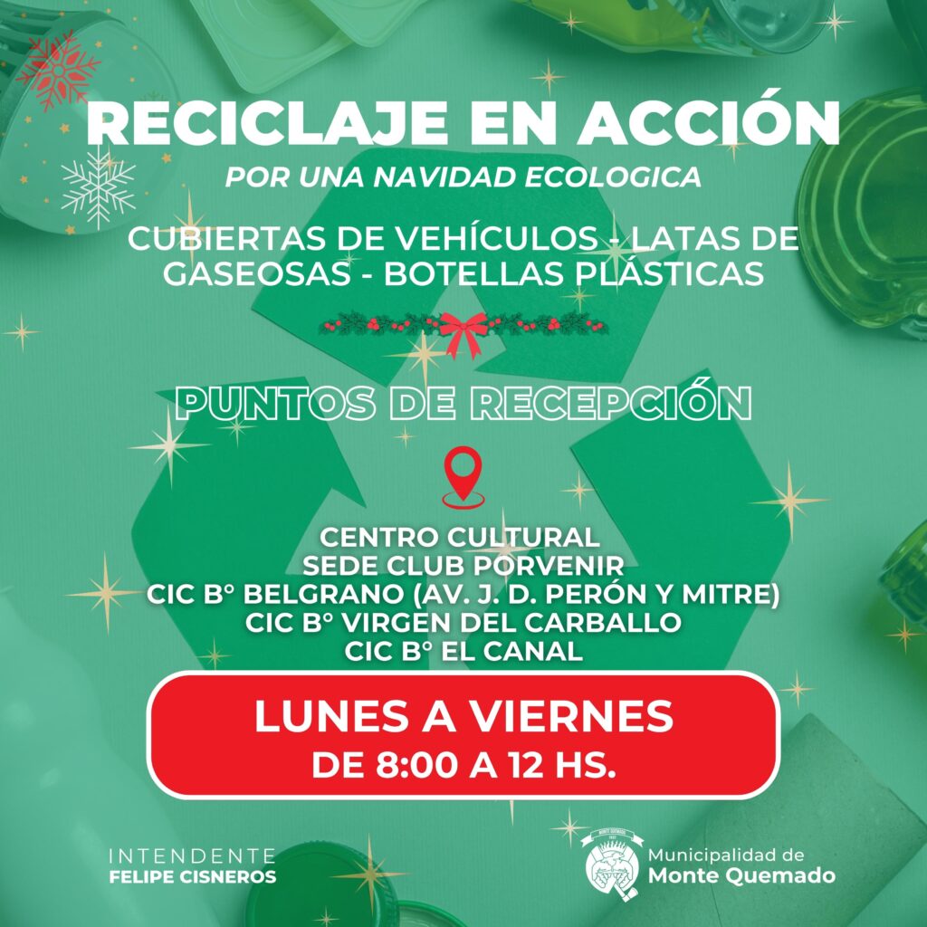 Reciclaje en Acción | Por una navidad ecológica