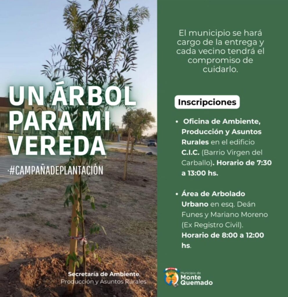 Un árbol para mi vereda
