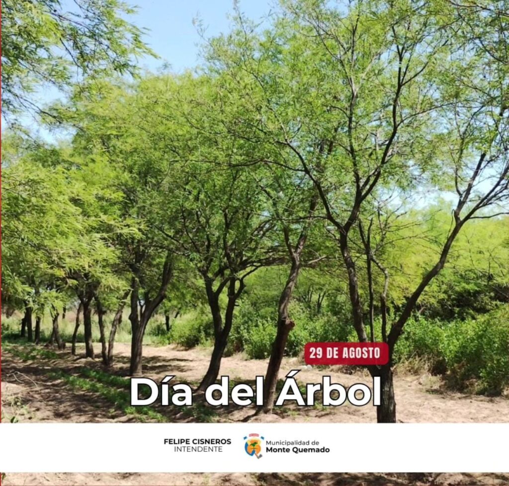 29 de agosto – Día del Árbol