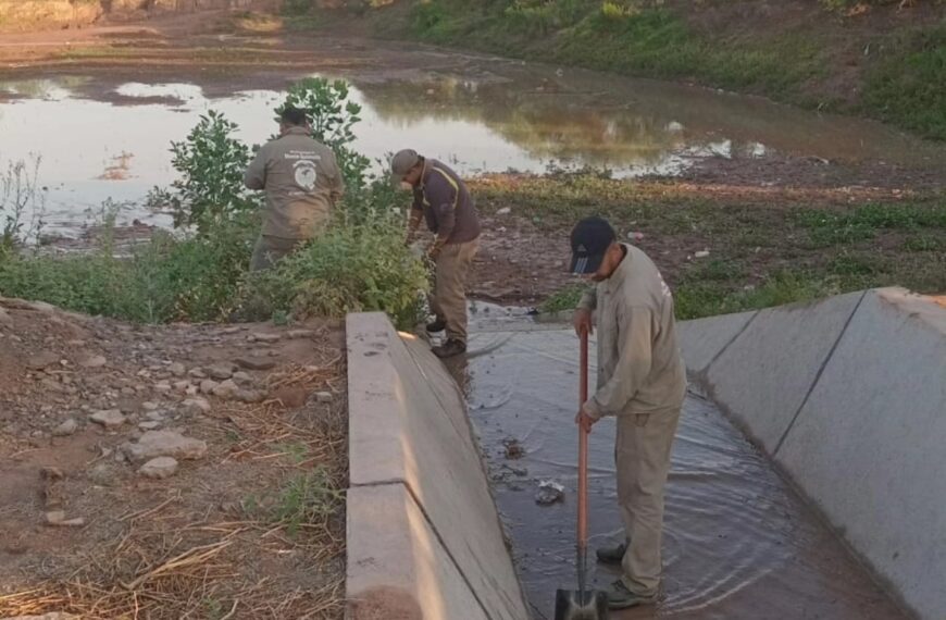 Trabajos de mantenimiento en desagües