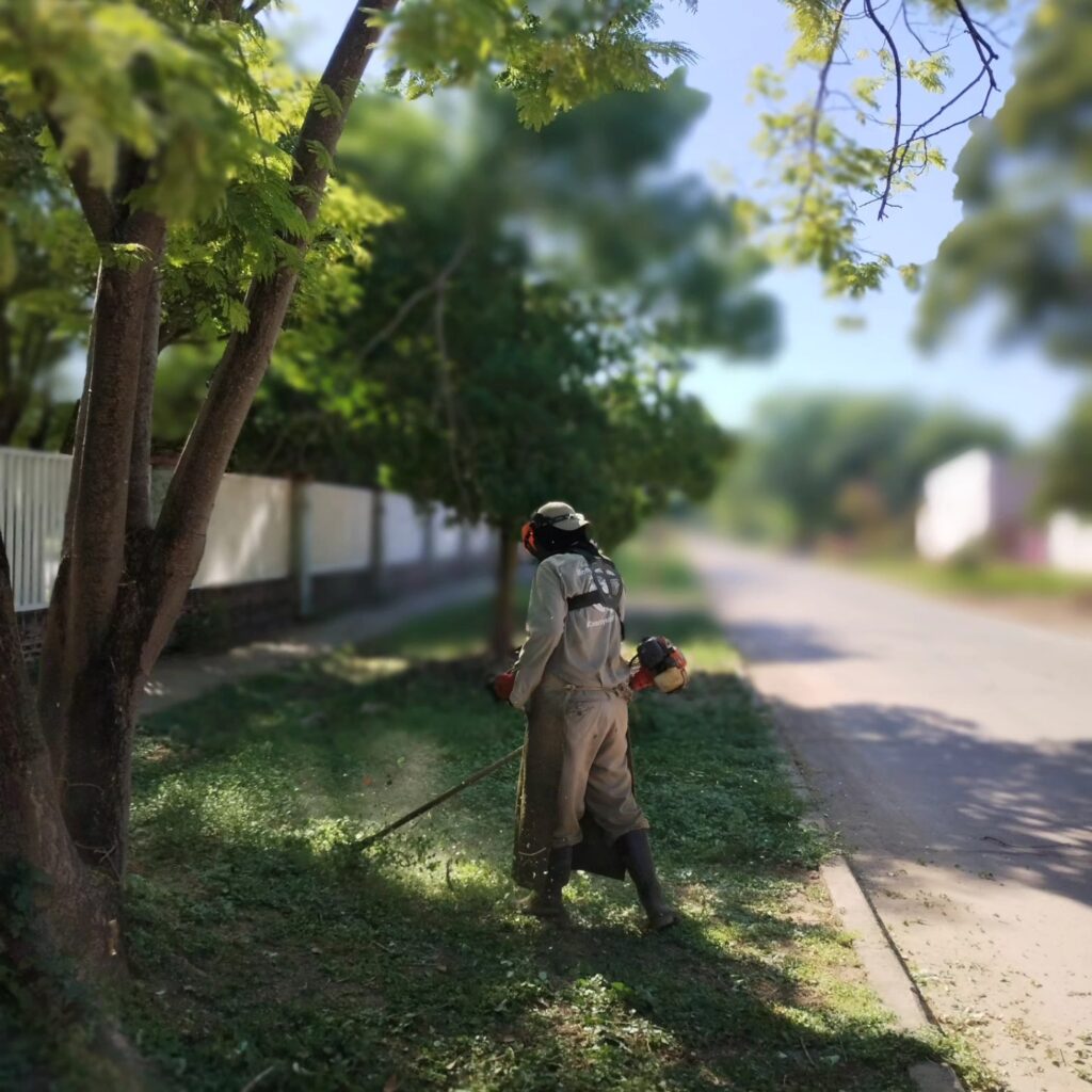 La ciudad más limpia