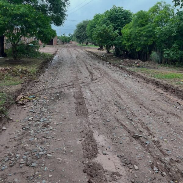 Avanzan los trabajos de enripiado en el barrio Porvenir