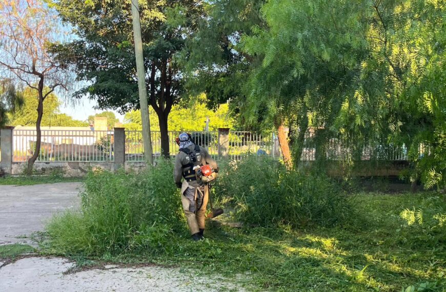 Trabajos de desmalezado en espacios públicos