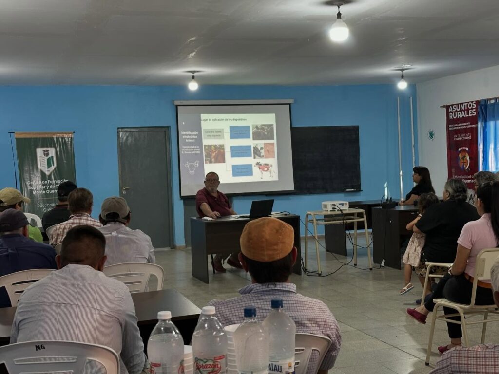 Implementación obligatoria de caravanas electrónicas en bovinos