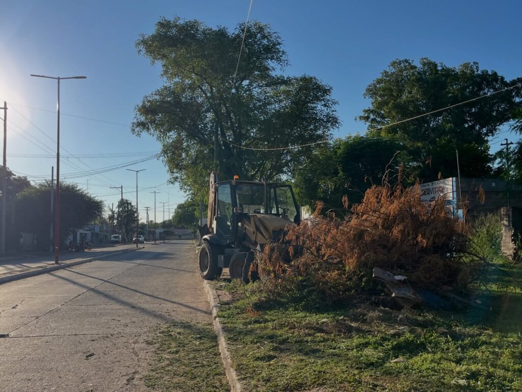 Limpieza y mantenimiento en el Barrio Centro Limpieza y mantenimiento en el Barrio Centro