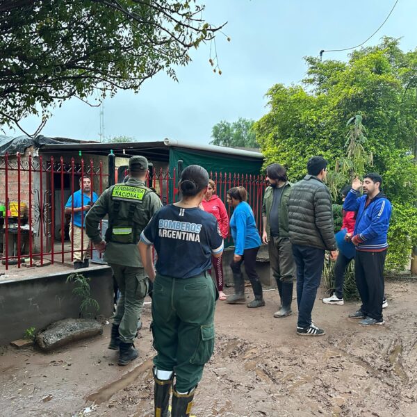 Tareas de asistencia