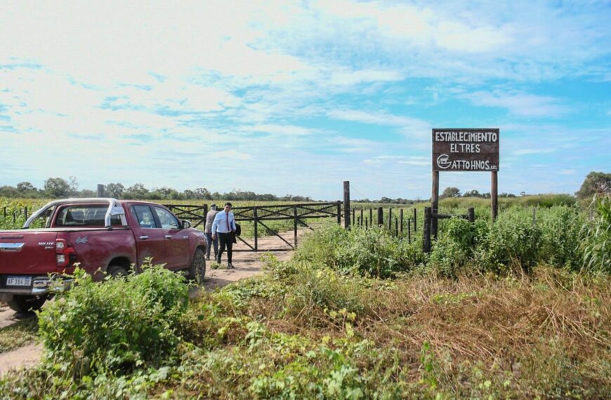 Fuerte operativo del Gobierno provincial para proteger tierras fiscales y bosques nativos
