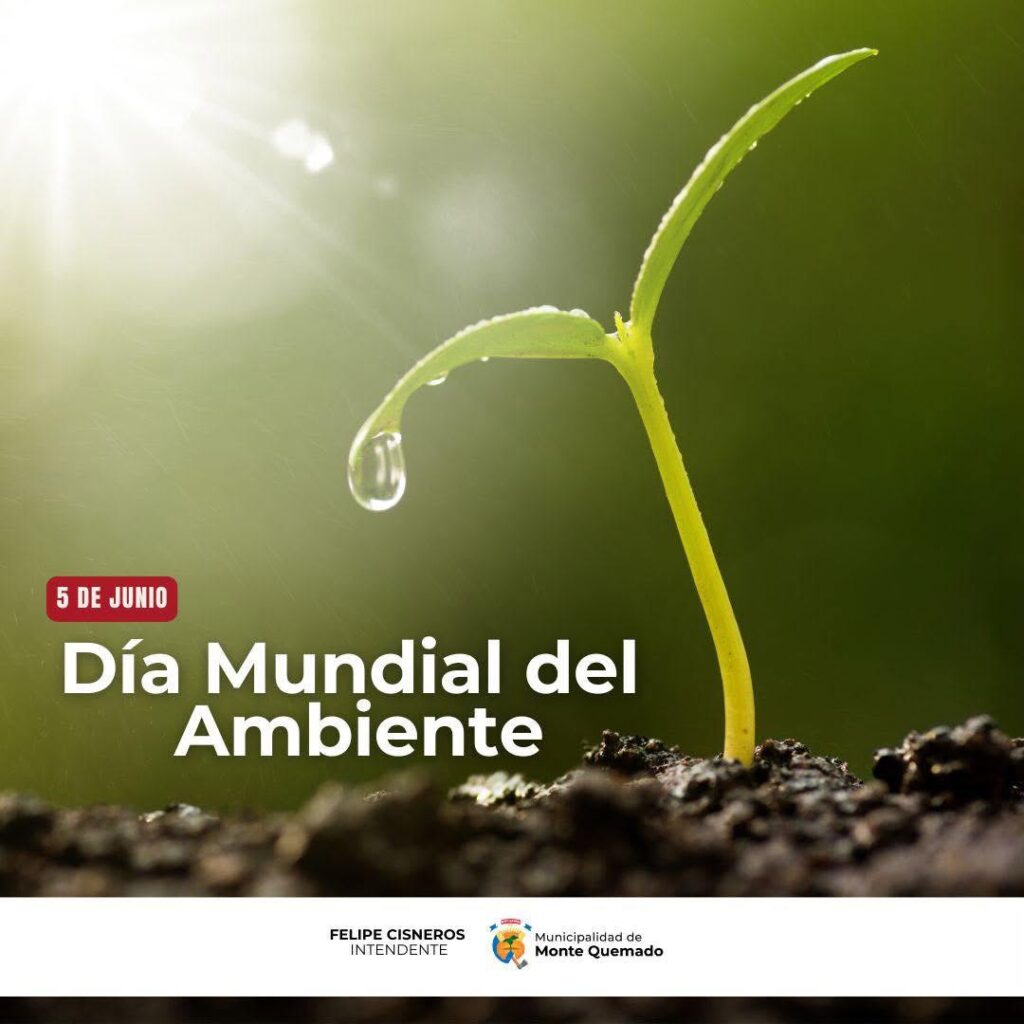 5 de junio – Día Mundial del Ambiente