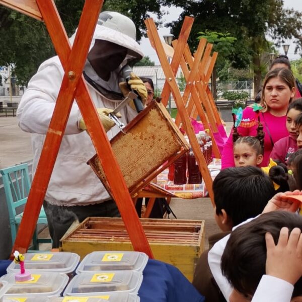 Feria de la miel